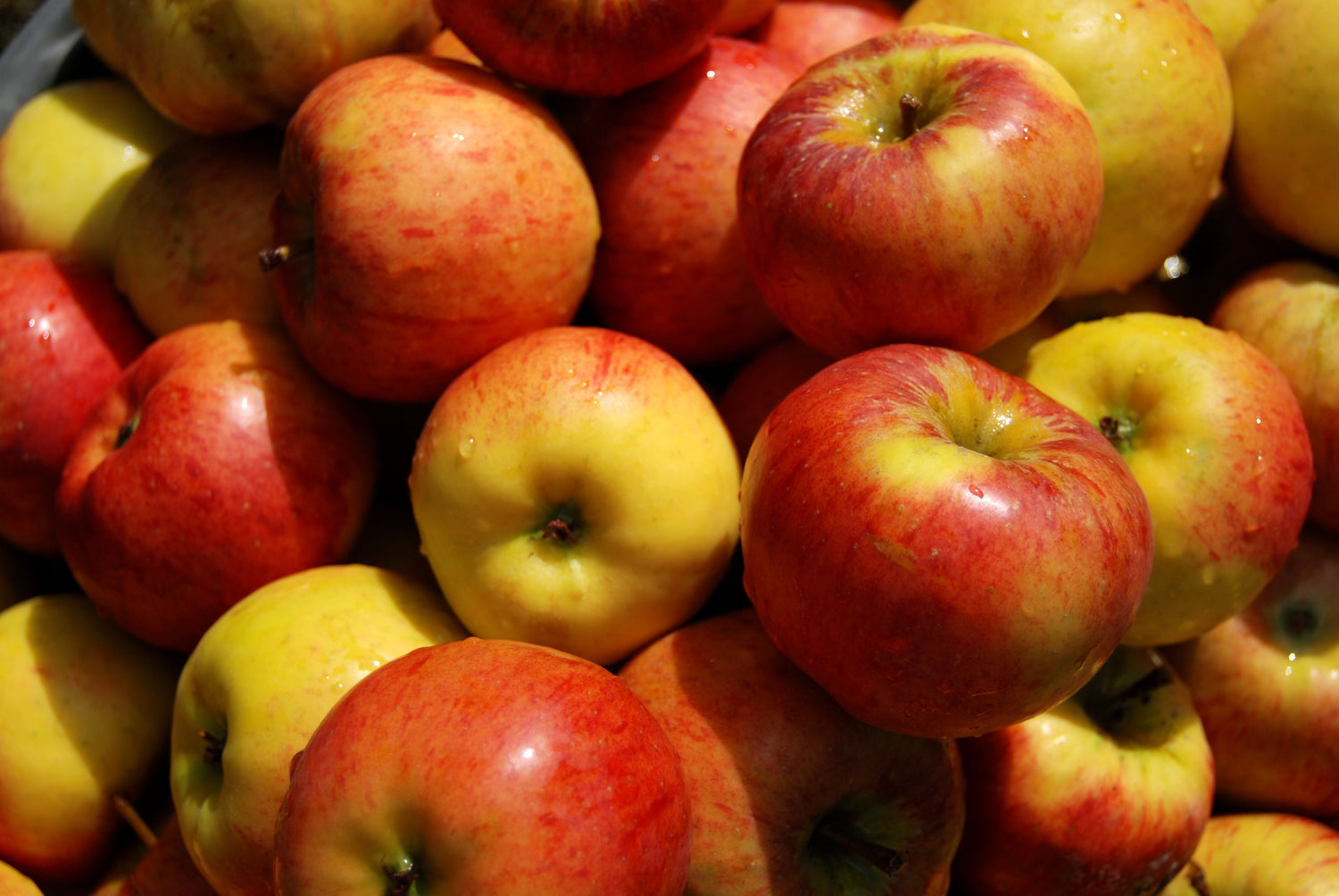 Äpfel