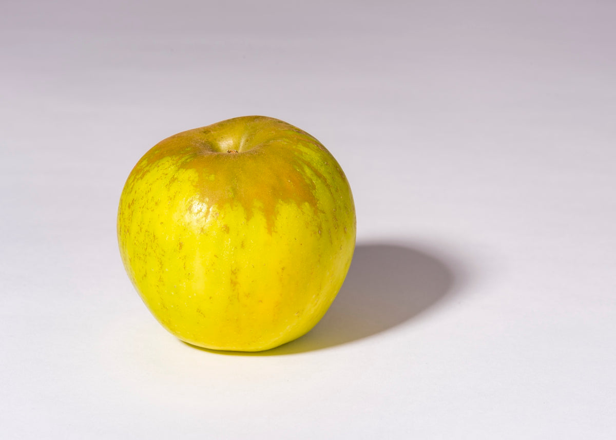 Seestermüher Zitronenapfel